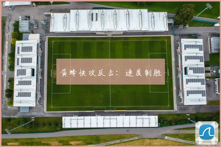 星空体育 - 黄蜂快攻反击：速度制胜