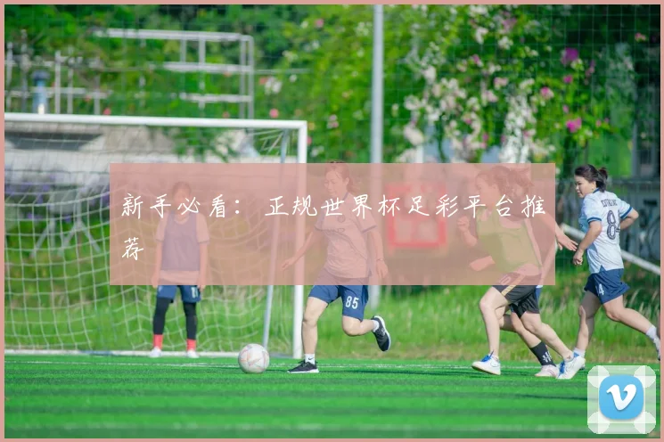 星空体育 - 新手必看：正规世界杯足彩平台推荐