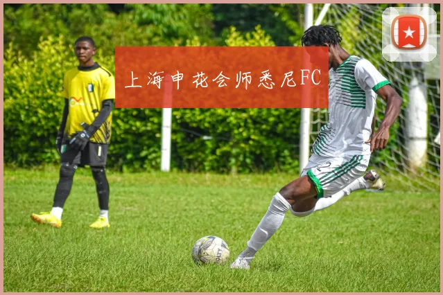 星空体育 - 上海申花会师悉尼FC