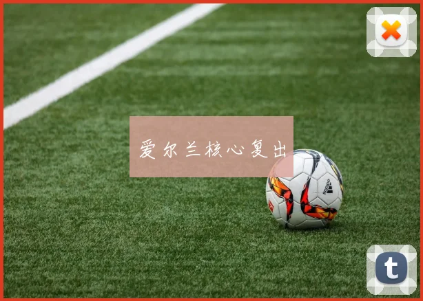 星空体育 - 爱尔兰核心复出