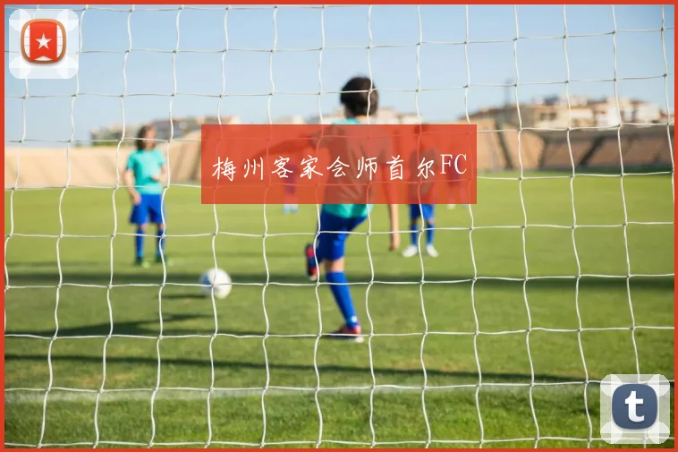 星空体育 - 梅州客家会师首尔FC