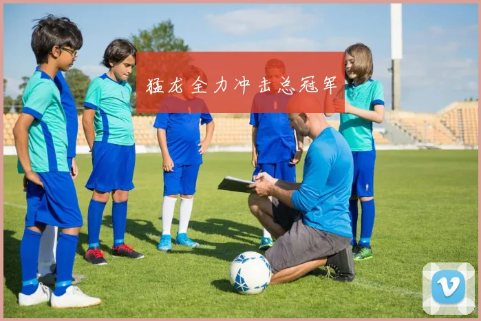星空体育 - 猛龙全力冲击总冠军