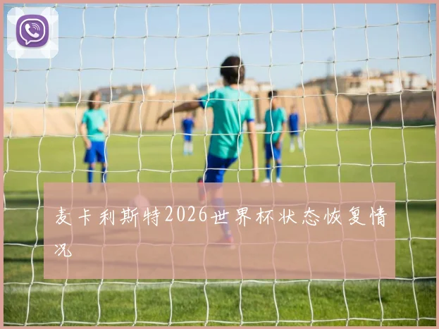 麦卡利斯特2026世界杯状态恢复情况