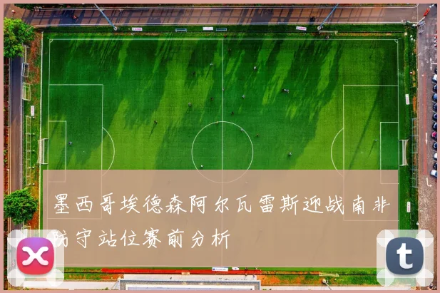 墨西哥埃德森阿尔瓦雷斯迎战南非防守站位赛前分析
