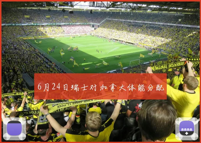 6月24日瑞士对加拿大体能分配